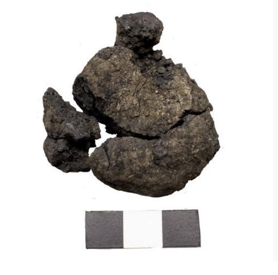 У Туреччині знайшли найстаріший у світі хліб — йому приблизно 8 600 років