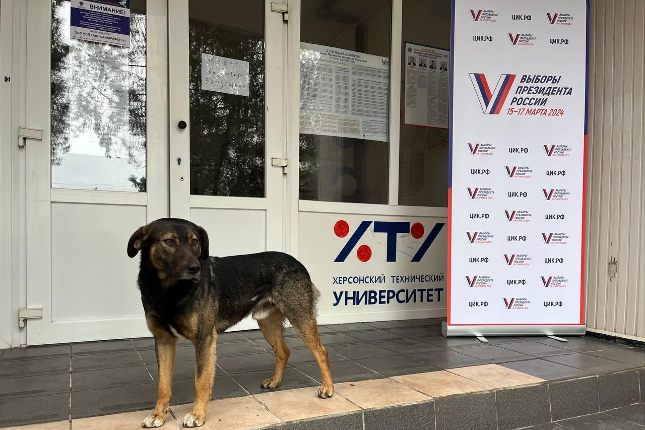 «Це історія не про «вибори», а про контроль населення» — кореспондент про псевдовибори окупантів