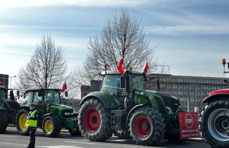 Наша задача — дипломатичним шляхом відстоювати свої інтереси: Ілля Несходовський про протести європейських аргаріїв