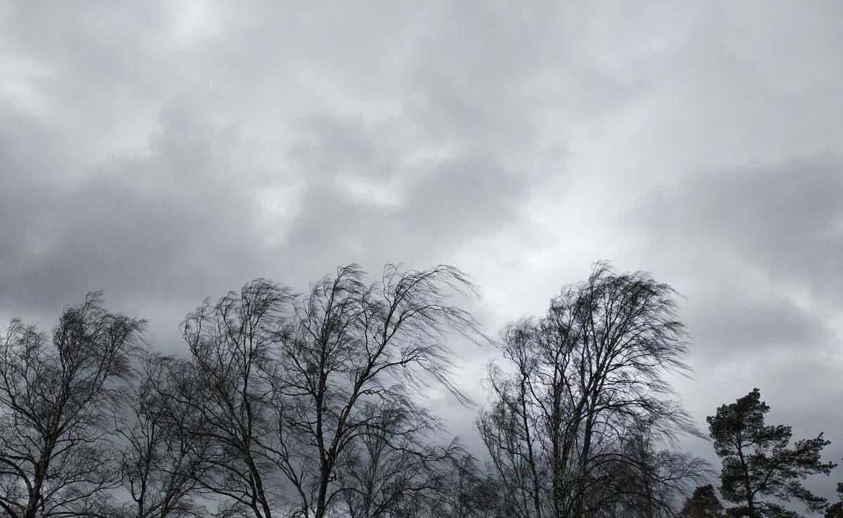 В Україні через негоду знеструмлено 276 населених пунктів