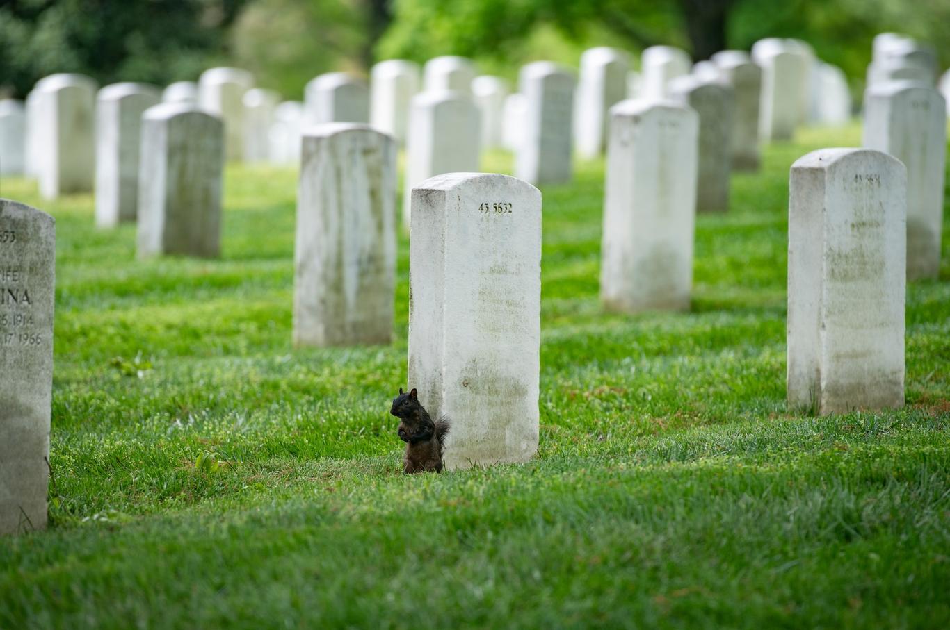 Рівність один перед одним буде відображена на меморіальному кладовищі — Старущенко