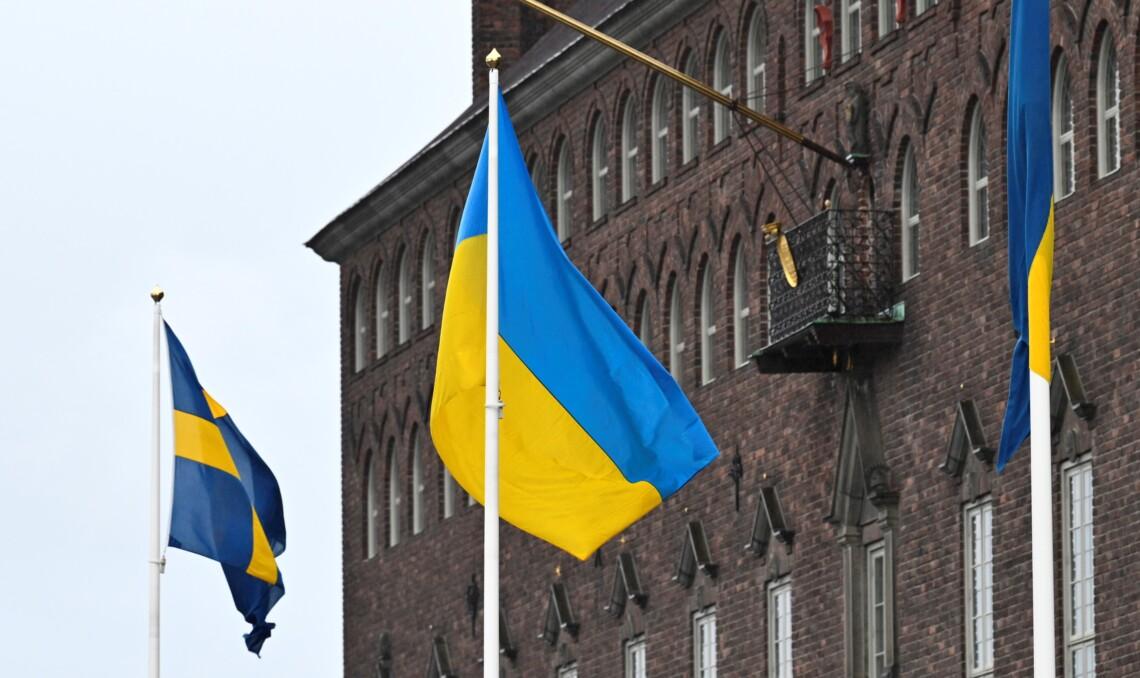 Швеція виділила €28 мільйонів на підтримку оборонного потенціалу України