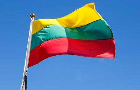 Референдум у Литві щодо подвійного громадянства не набрав потрібної кількості голосів — шеф-редактор Delfi