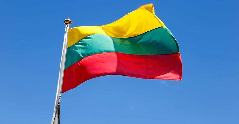 Референдум у Литві щодо подвійного громадянства не набрав потрібної кількості голосів — шеф-редактор Delfi