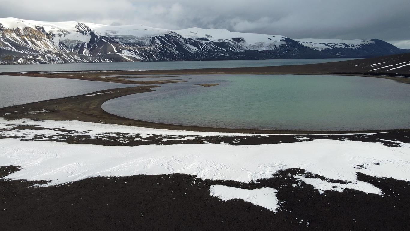 Українські вчені розширили географію вивчення унікальних організмів Антарктики