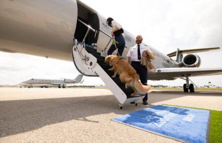 У США авіакомпанія для собак здійснила свій перший рейс