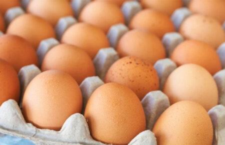ЄС готується повернути мита на українські яйця та цукор — ЗМІ