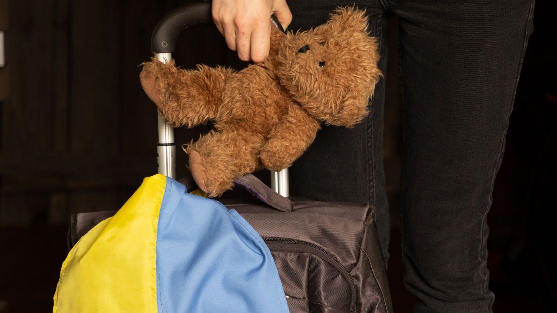 Депортовані українські діти зазнають психологічного, фізичного та сексуального насильства — Степула