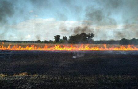 Збитки агросектору через вторгнення Росії уже становлять понад 10 мільярдів доларів — Мінагро