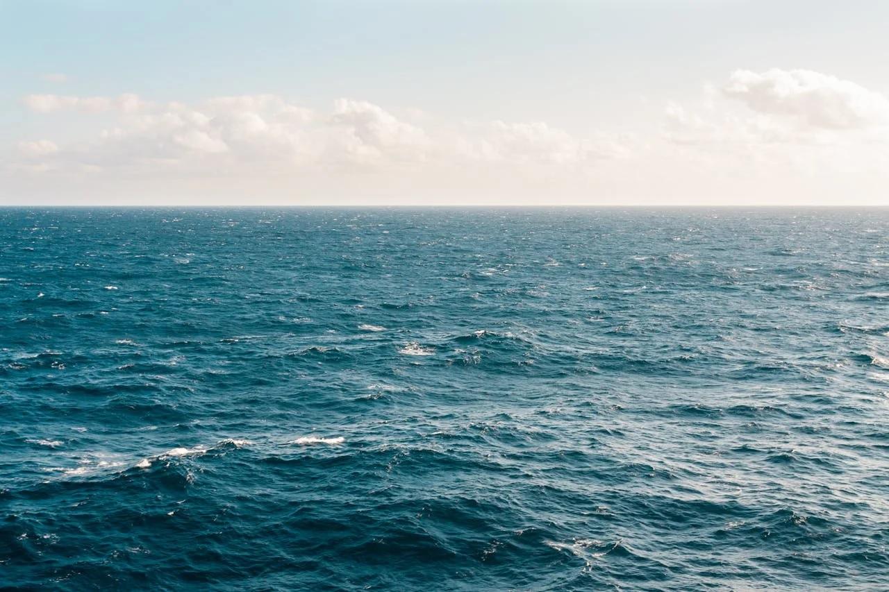 Температура Середземного моря досягла нового рекорду — екологи