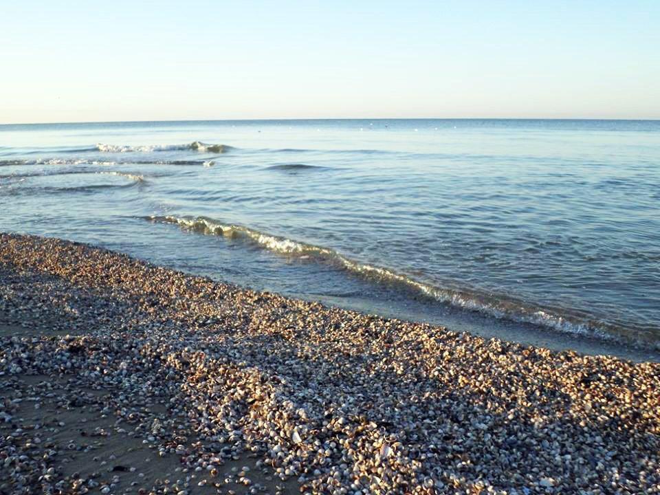 В окупованому Маріуполі пляжний сезон є, однак пляжі у бік Бердянська пусті — Андрющенко 