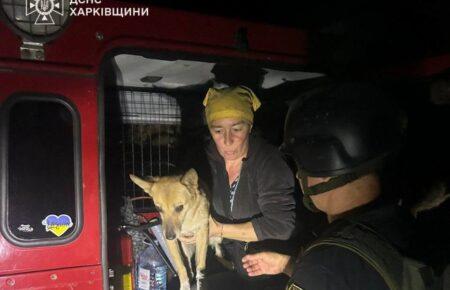 На Харківщині рятувальники евакуювали жінку з трьома домашніми улюбленцями