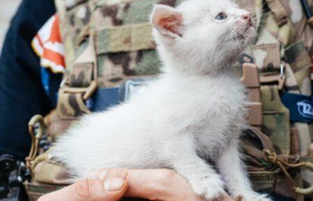 Психологічна реабілітація військових та фізична реабілітація тварин — Скакун про плани «Зоопатруль Україна»