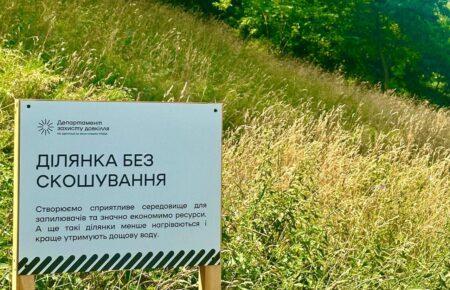 Київ тимчасово відмовляється від косіння трави через аномальну спеку