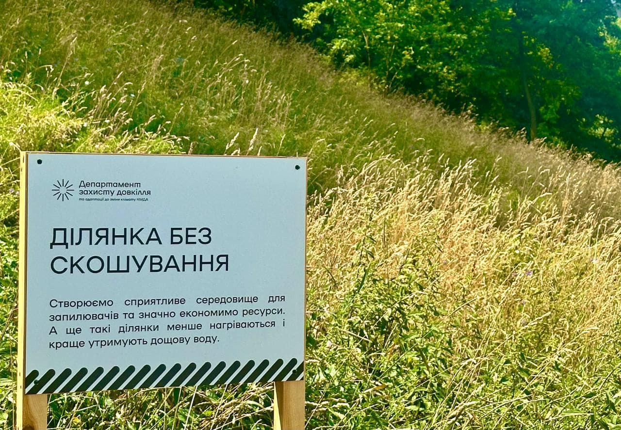 Київ тимчасово відмовляється від косіння трави через аномальну спеку