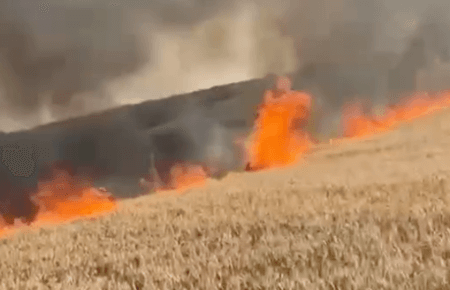 Росіяни знищили майже 4 га пшениці на Запоріжжі