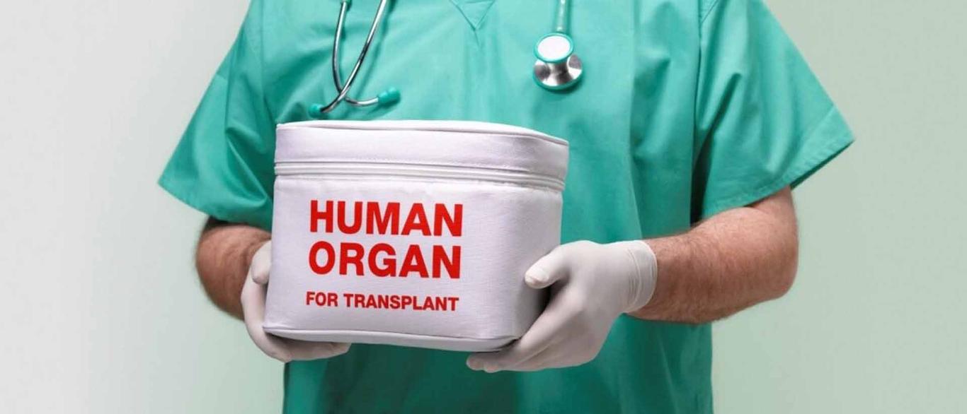 Україна забезпечує близько 10% від потреб у трансплантації органів — посадовець МОЗ