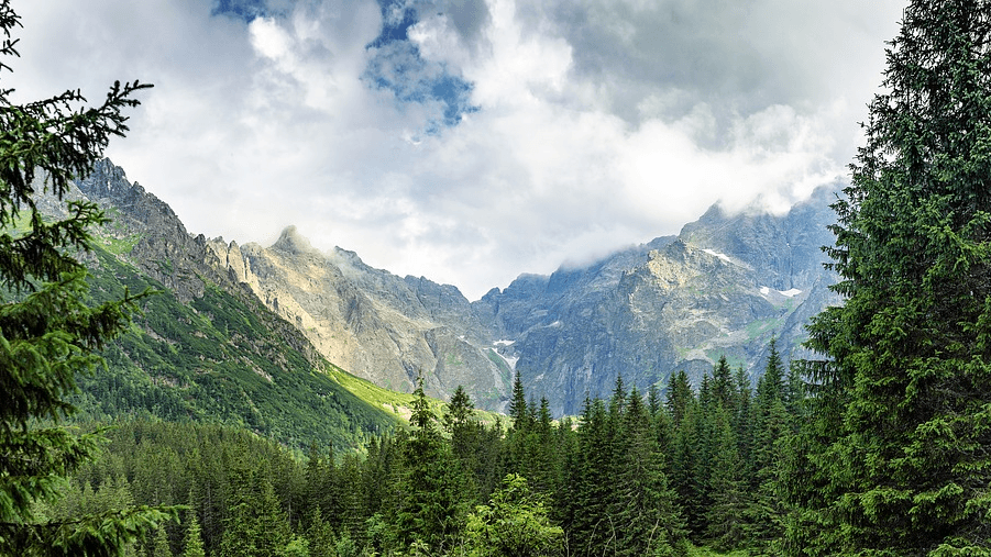 У горах поблизу кордону з Румунією виявили тіло чоловіка