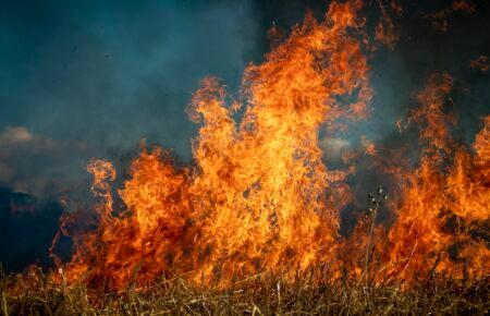 У таку спеку ризик пожеж зростає вдвічі — представник ДСНС