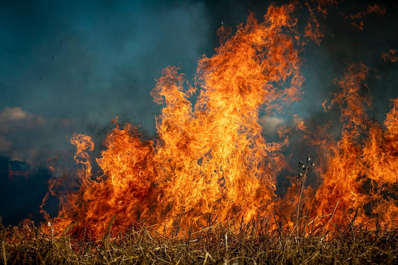 У таку спеку ризик пожеж зростає вдвічі — представник ДСНС