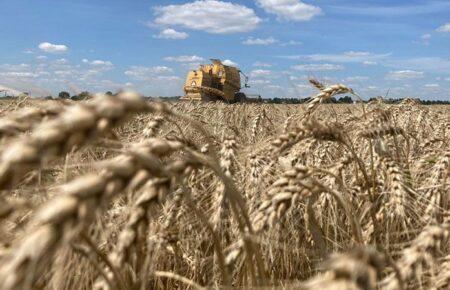 «Наші аграрії — надзвичайні відчайдухи» — журналістка про збір врожаю на Харківщині