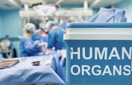 Як стати посмертним донором для трансплантації органів: пояснює посадовець МОЗ