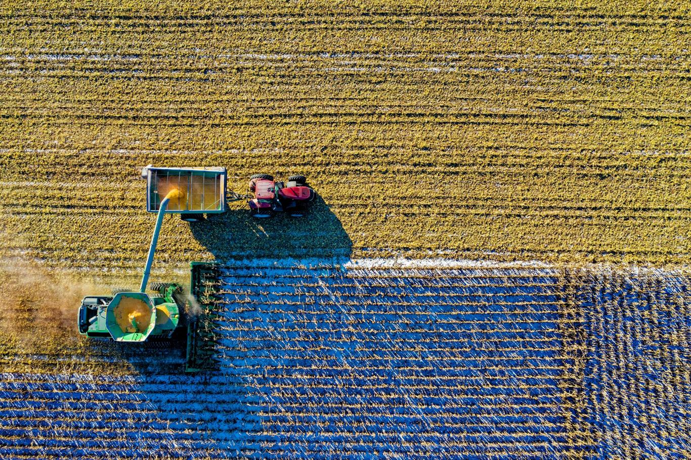 Чому сировинно-аграрна економіка України є проблемою: пояснює економіст