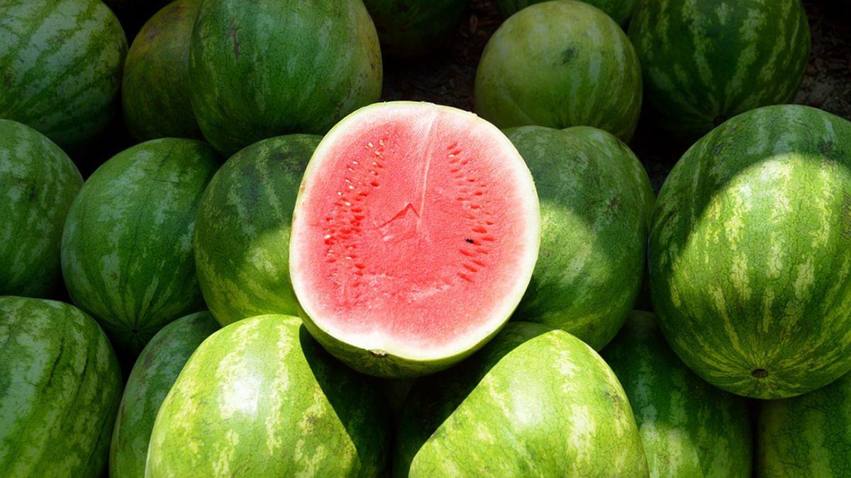 Не півднем єдиним: де в Україні вирощують смачні кавуни