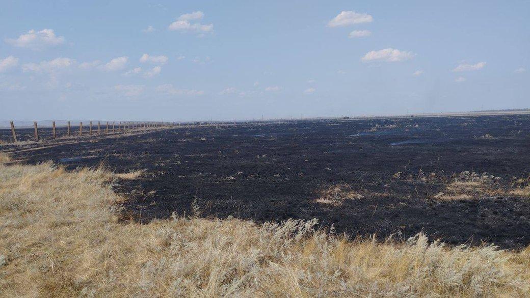 More than 7,000 hectares burned down on the territory of Askania-Nova — director of the reserve