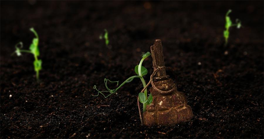 Наслідки війни: для відновлення родючого шару ґрунту потрібно 25-28 років