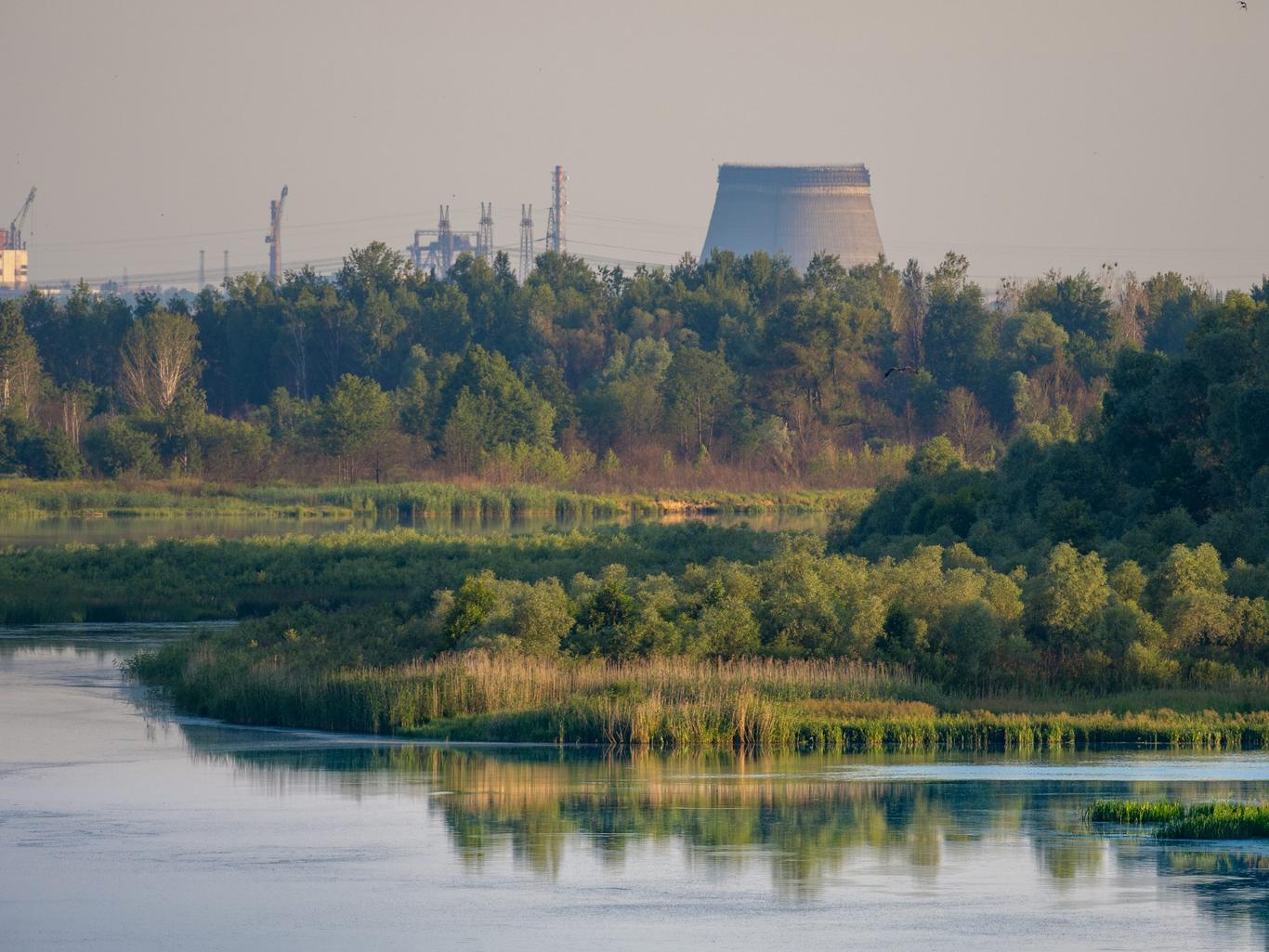 Кабмін погодив вилучення ділянки кордону з Білоруссю із зони відчуження: що буде далі?