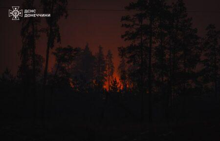 Масштабні лісові пожежі вирують в Україні: під вогнем сотні гектарів