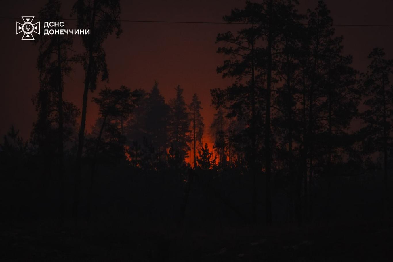 Масштабні лісові пожежі вирують в Україні: під вогнем сотні гектарів