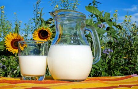 Ukraine has increased dairy exports to Europe during the war — expert