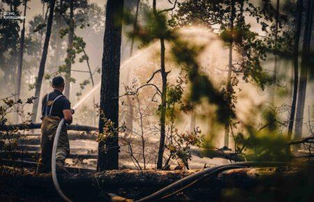 У Чорнобилі горять 6 тис гектарів: експерт назвав ймовірні причини