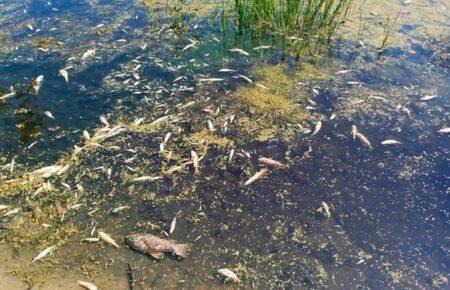 All fish died in the Seym river — ecologist