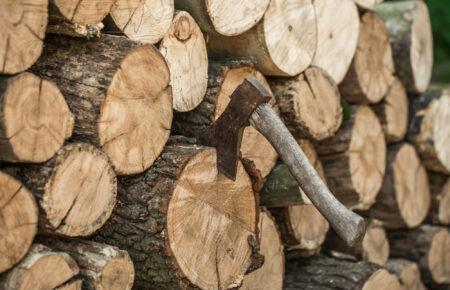 Зеленський не підпише «закон про дрова» — ЗМІ