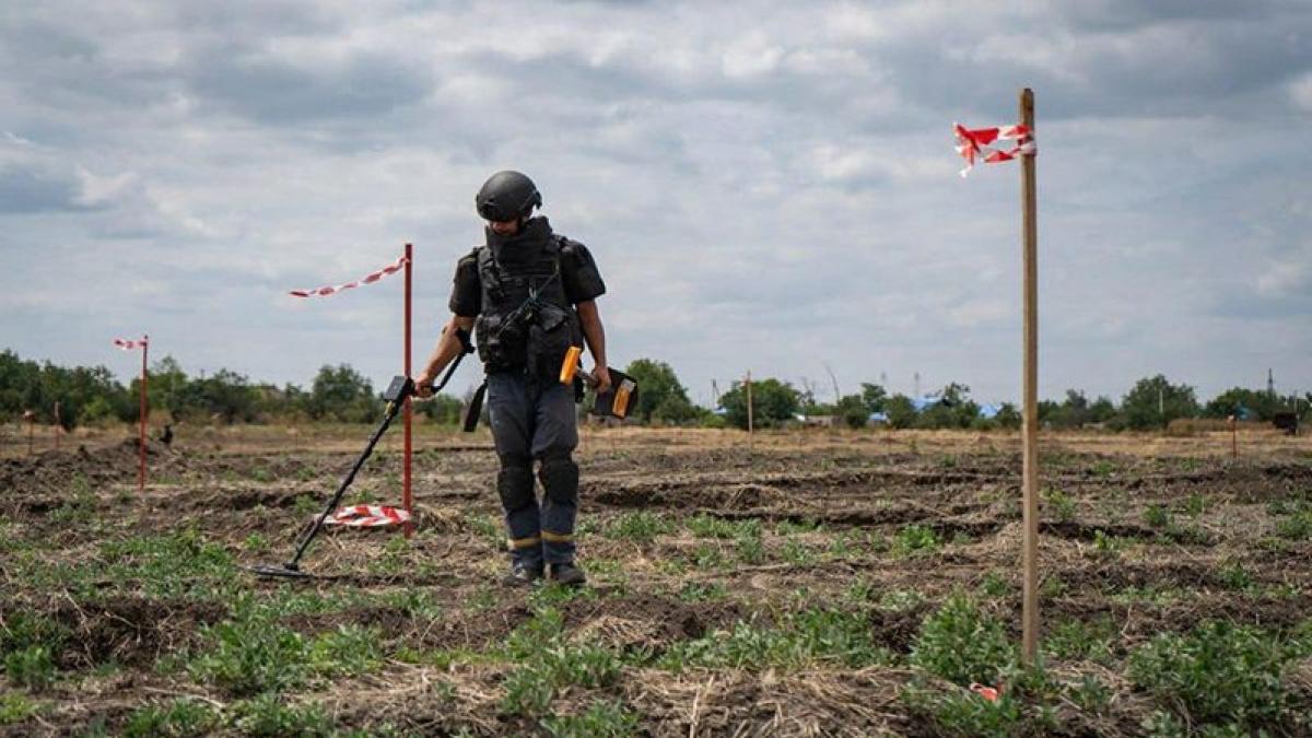 Розмінування — сфера, де пропонують дуже конкурентну зарплату — Володимир Байда