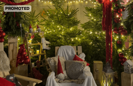 Франшиза «WOW Ялинка»: як створити новорічну магію та отримати прибуток