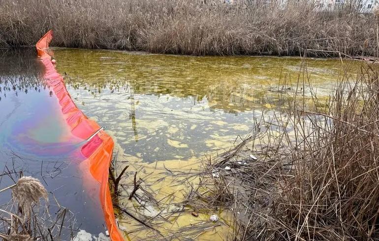 Як у Миколаєві очищують річку Південний Буг, забруднену олією після обстрілу