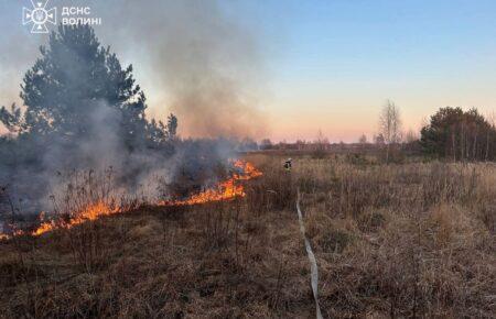 Взимку кількість пожеж в екосистемах України зросла втричі — ДСНС