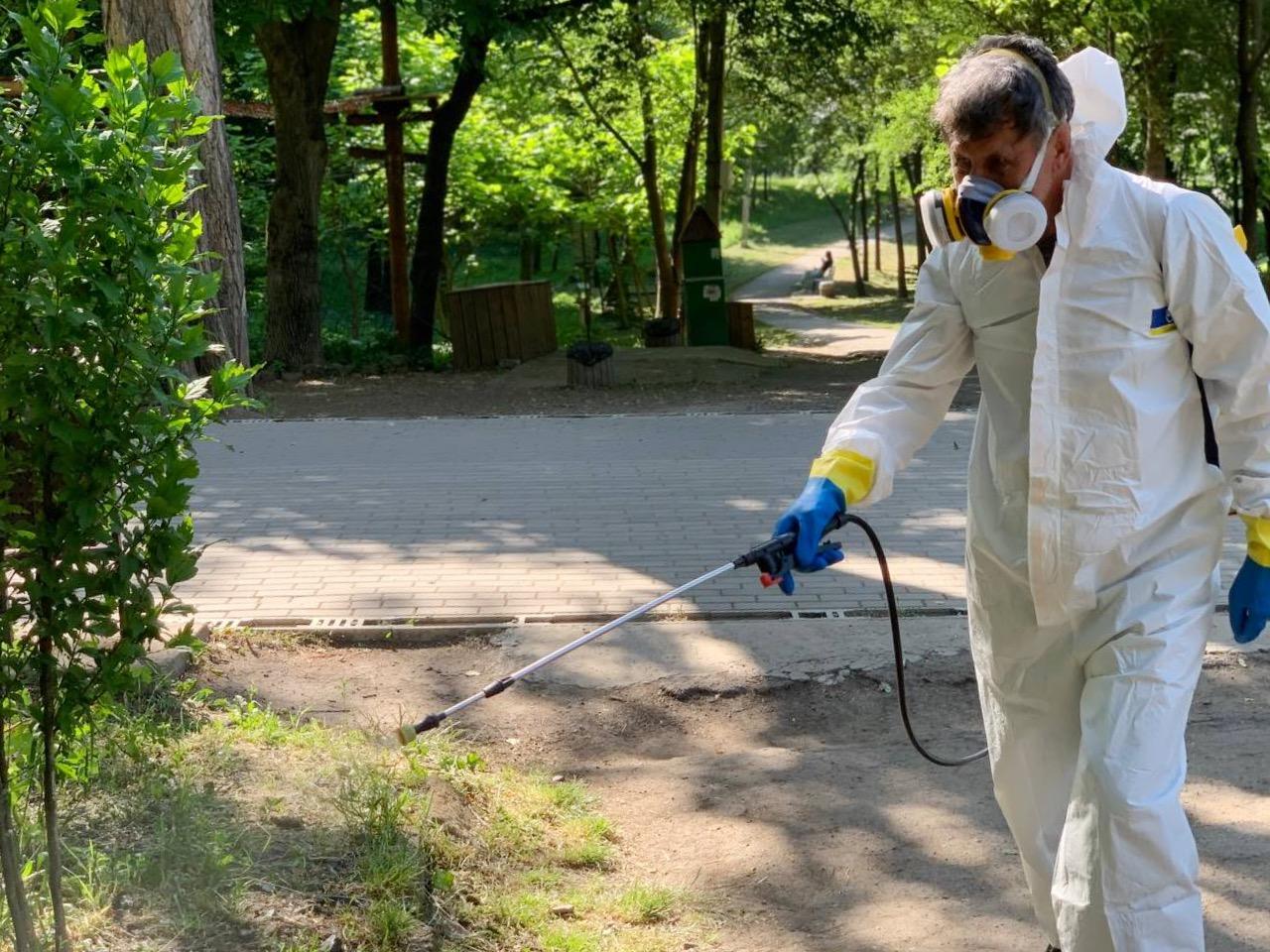 Сезон кліщів розпочався — як себе захистити