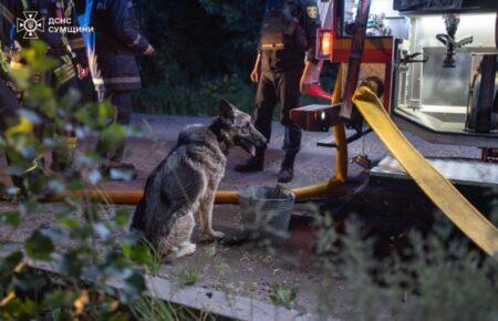 Яким ще селам Сумщини загрожує окупація найближчим часом — пояснили в DeepState