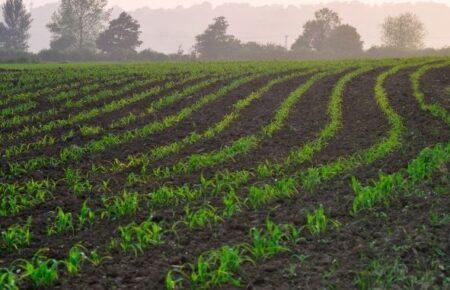 Росіяни бʼють по агросектору Харківщини саме з початком весняних робіт, — журналістка