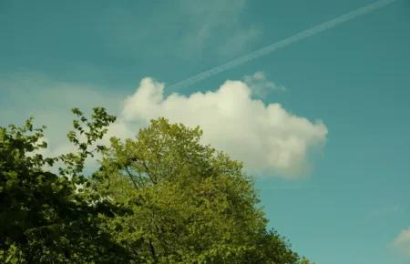 Якою буде погода в Україні найближчими днями: розповіла синоптикиня