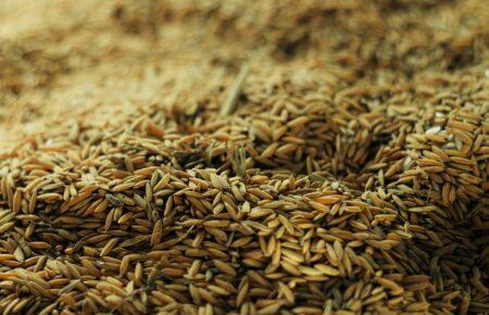 Посуха і бойові дії негативно вплинуть на врожай у 2025 році: у яких регіонах ситуація найгірша