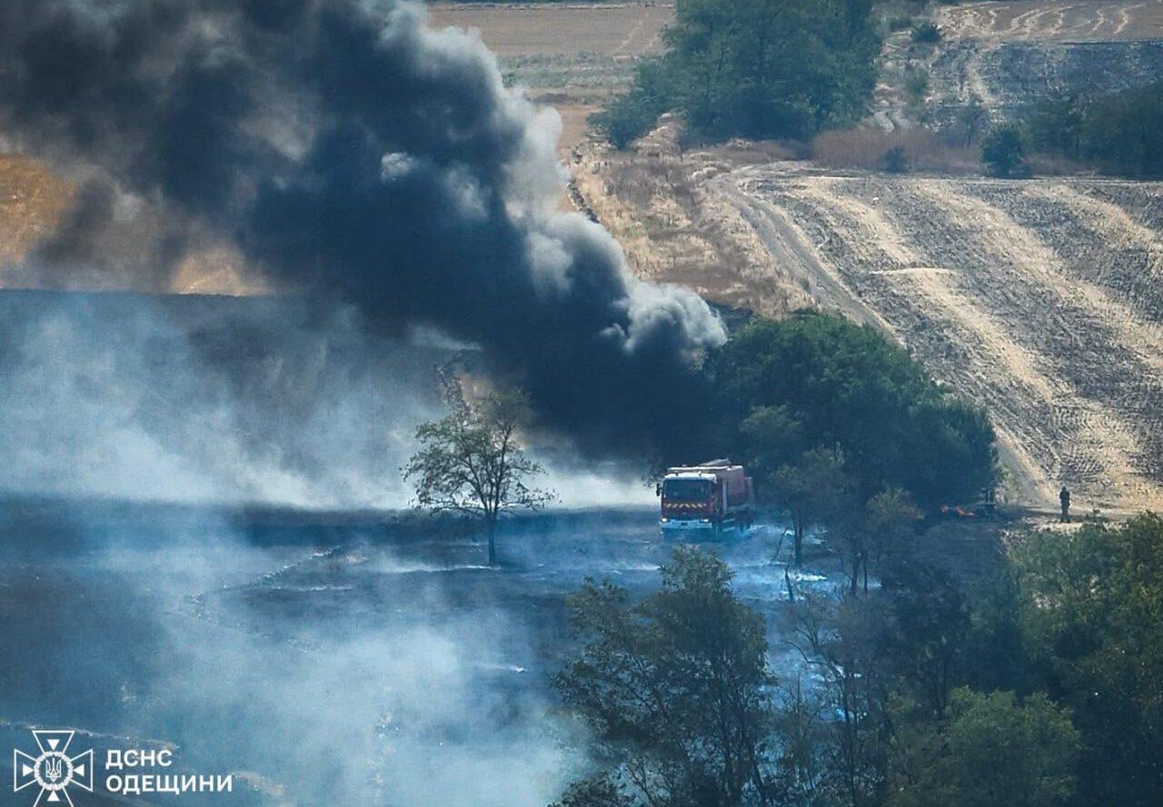 Майже 200 га української землі були охоплені вогнем минулої доби — ДСНС