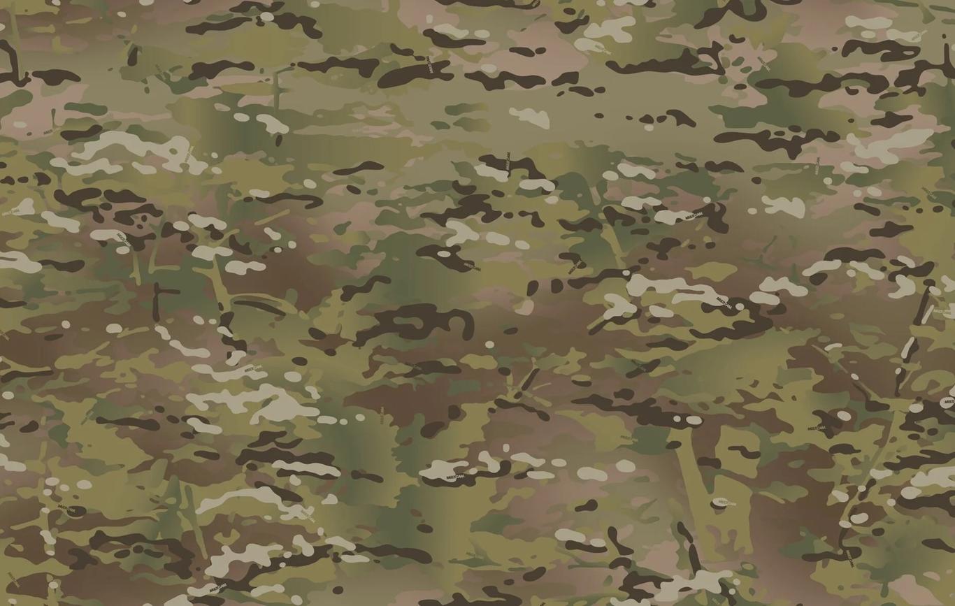 ЗСУ переходять на новий камуфляж — замість «пікселя» буде «мультикам»
