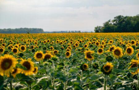 Сухо та сонячно: синоптикиня розповіла, якою буде погода в Україні 28 серпня