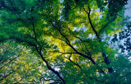 Погода: синоптик розповів, чи повернеться спека найближчими днями